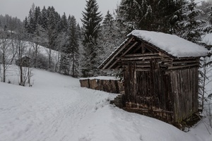 A Path in the snow